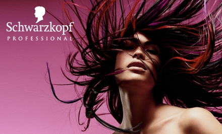 Professzionális női frizura elkészítése Buda egyetlen Schwarzkopf Referencia Szalonjában! kupon